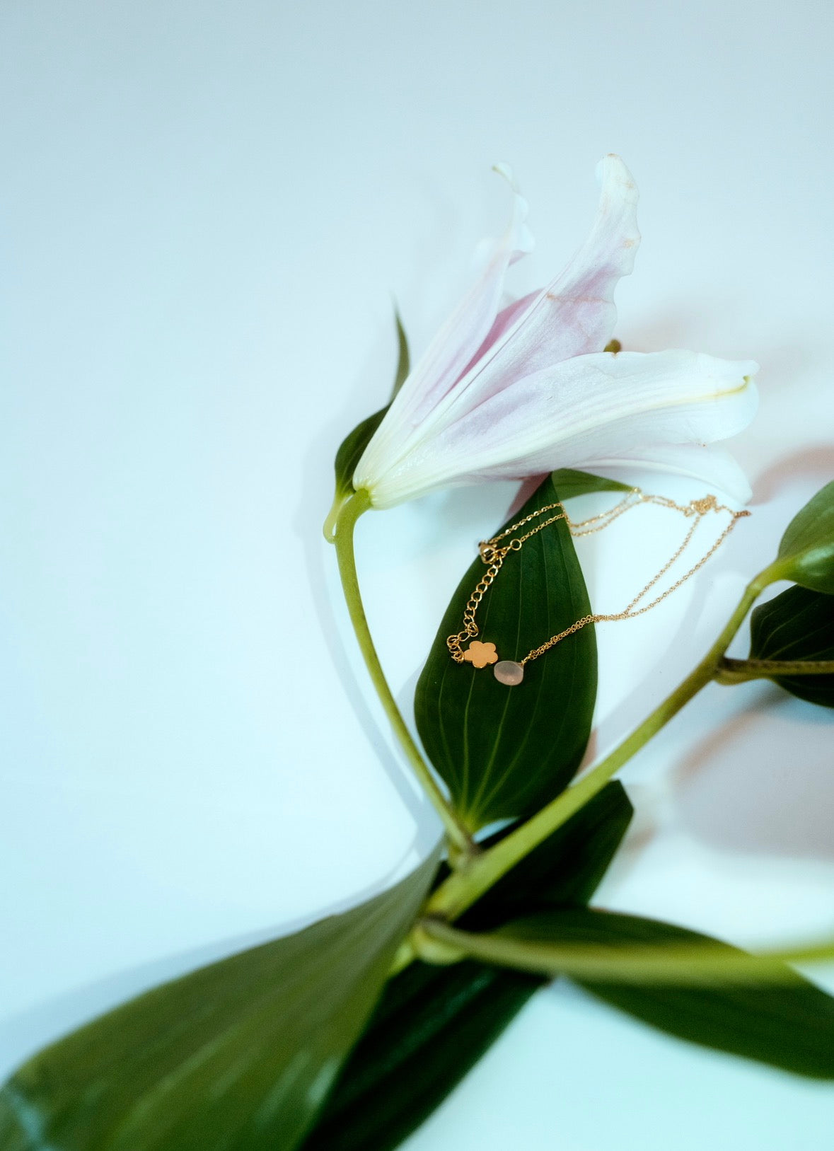 🩷Quartz rose : la pierre de l’amour et de la douceur🩷